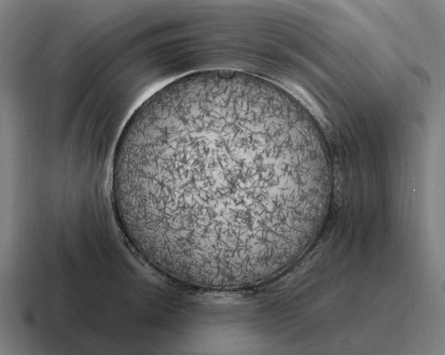 X0000116801044200912311932