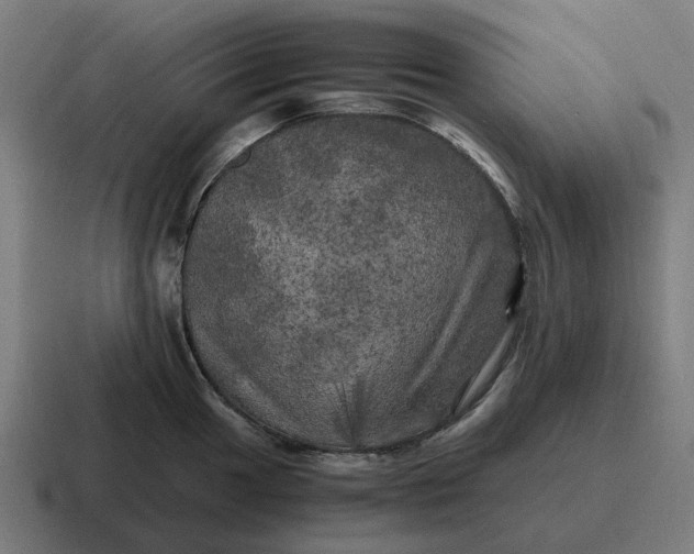 X0000116801049200912311932