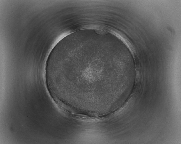 X0000116801050200912311932