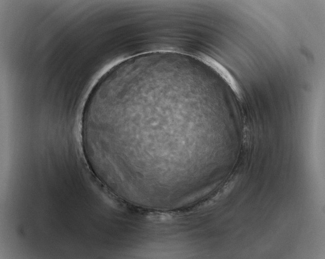 X0000116801051200912311932