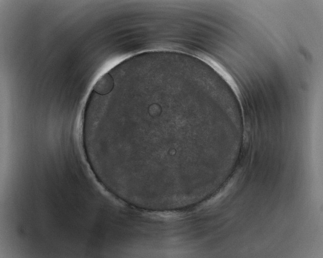 X0000116801053200912311932