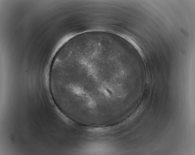 X0000116801054200912311932