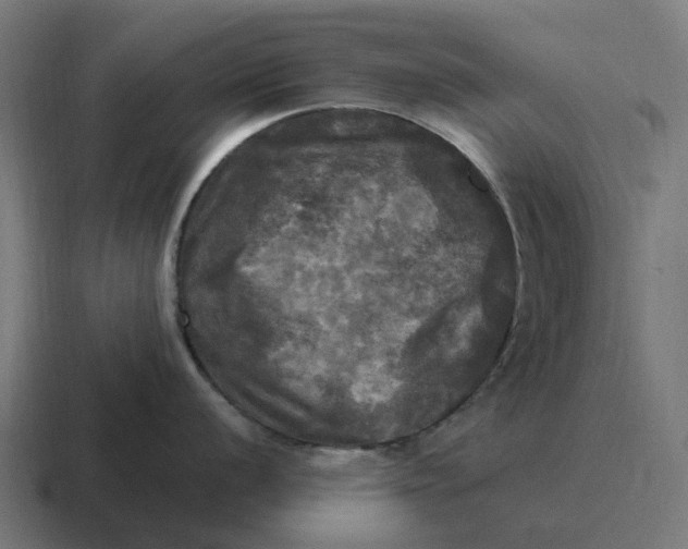 X0000116801056200912311932