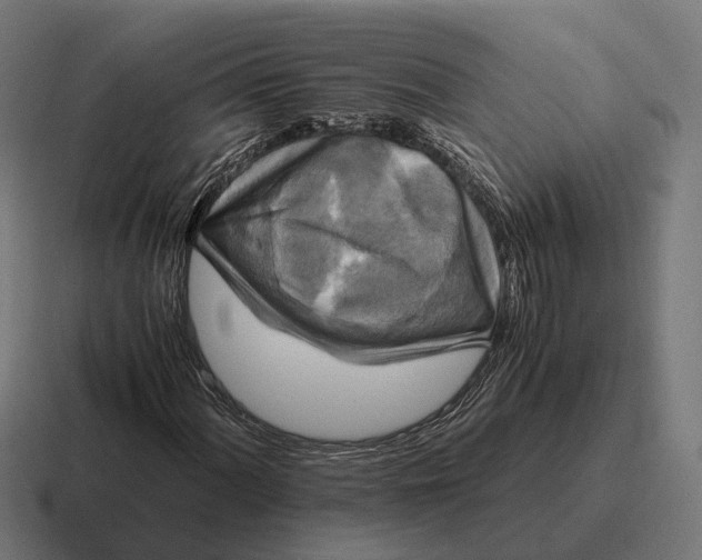 X0000116801060200912311932