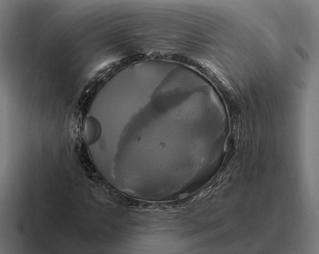 X0000116801063200912311932