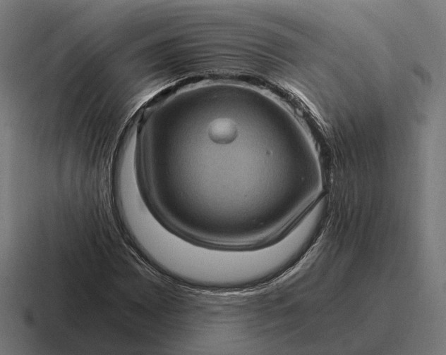 X0000116801065200912311932