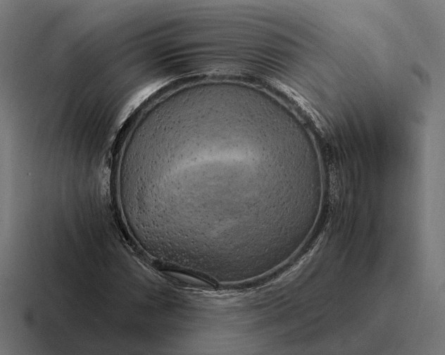 X0000116801066200912311932