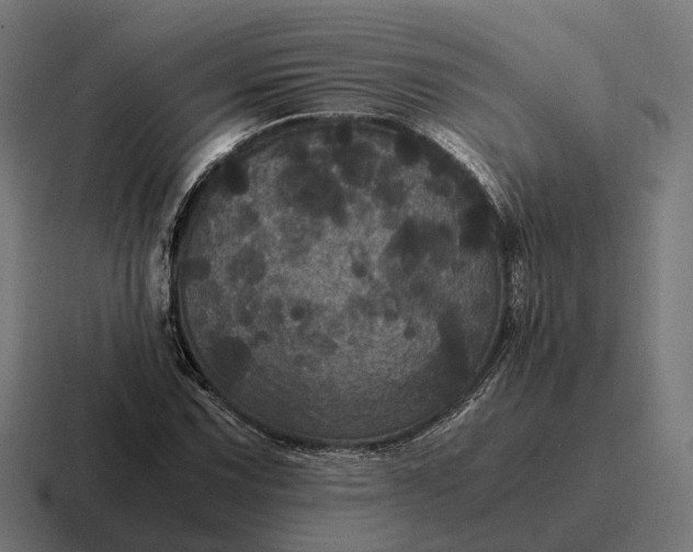 X0000116801067200912311932