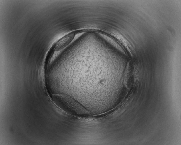 X0000116801072200912311932