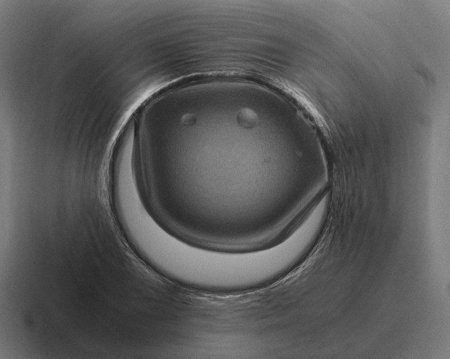 X0000116801075200912311932