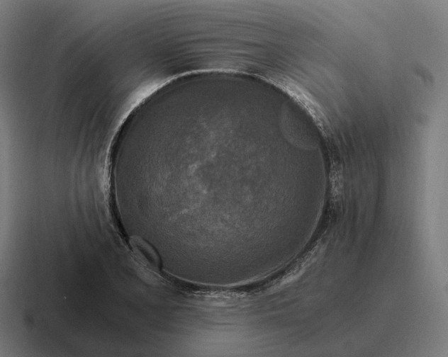 X0000116801077200912311932