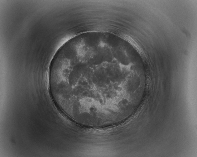 X0000116801079200912311931