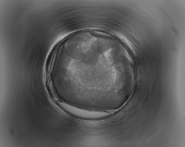 X0000116801080200912311931