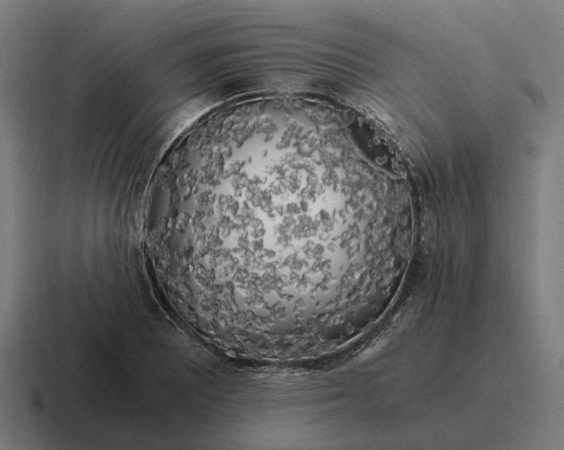 X0000116801081200912311931