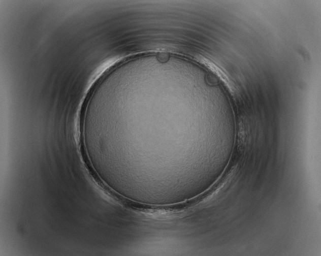 X0000116801082200912311931