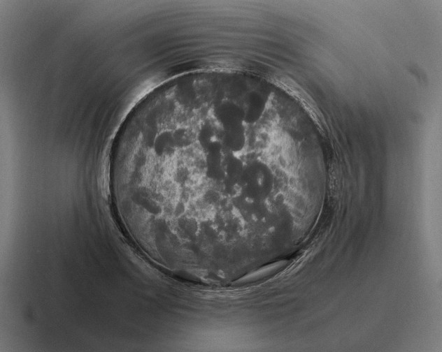 X0000116801083200912311931