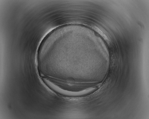 X0000116801084200912311931