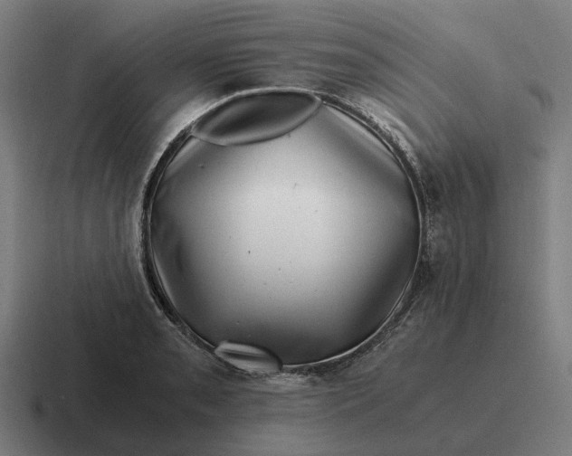 X0000116801085200912311931