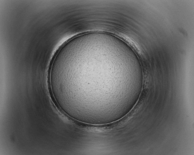 X0000116801086200912311931