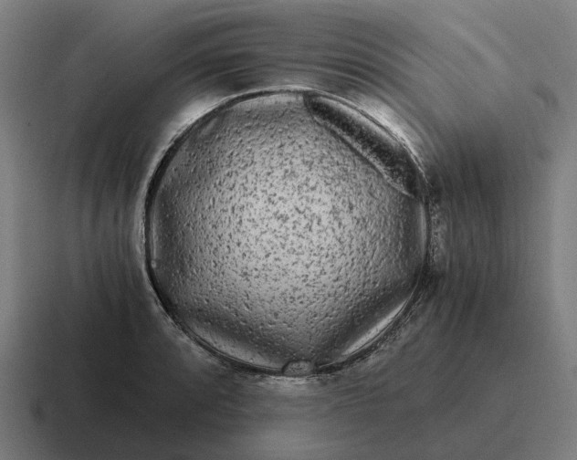 X0000116801088200912311931