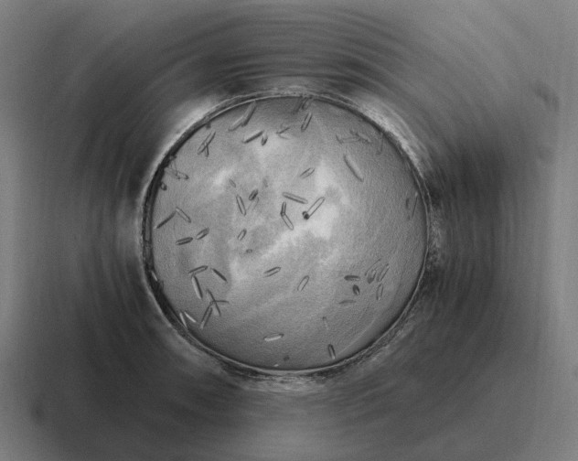 X0000116801090200912311931