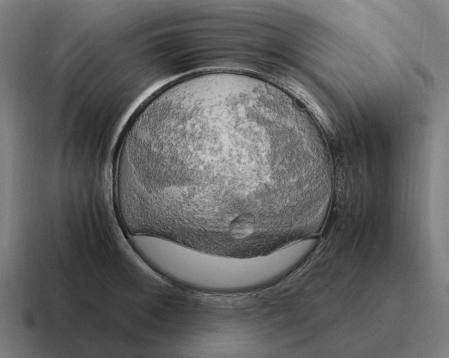 X0000116801092200912311931