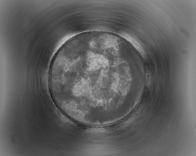 X0000116801094200912311931