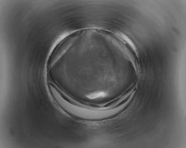 X0000116801096200912311931