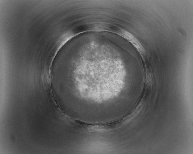 X0000116801097200912311931