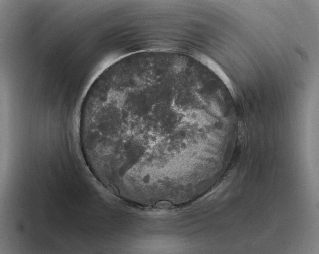 X0000116801099200912311931