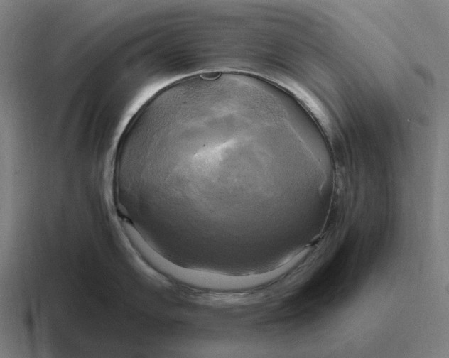 X0000116801102200912311931