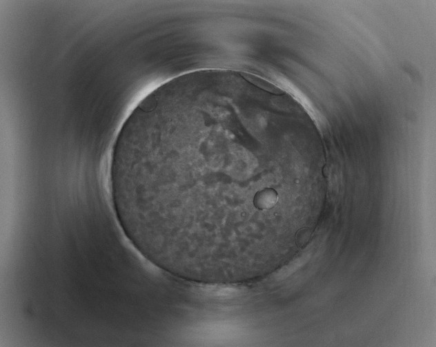 X0000116801103200912311931