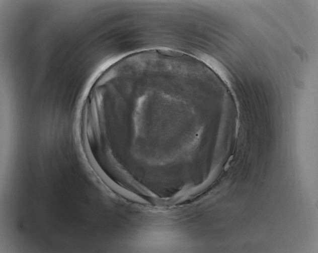 X0000116801104200912311931