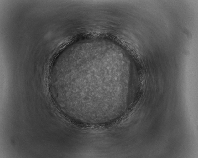 X0000116801105200912311931