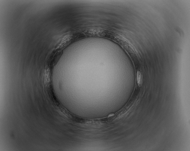 X0000116801107200912311931