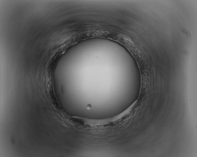 X0000116801109200912311931