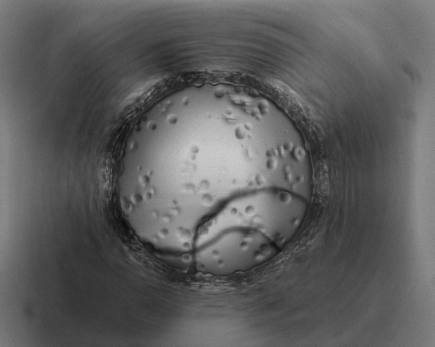 X0000116801110200912311931