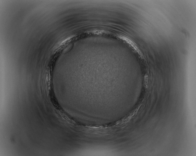 X0000116801111200912311931