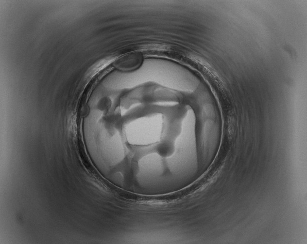 X0000116801113200912311931