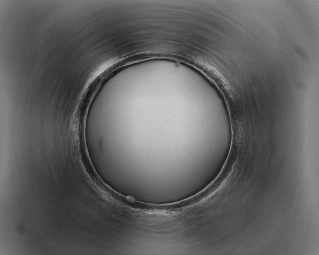 X0000116801114200912311931