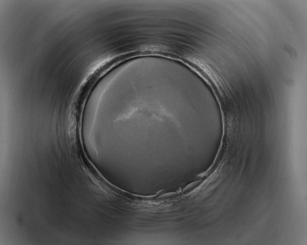 X0000116801115200912311931