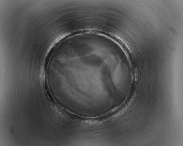 X0000116801117200912311931