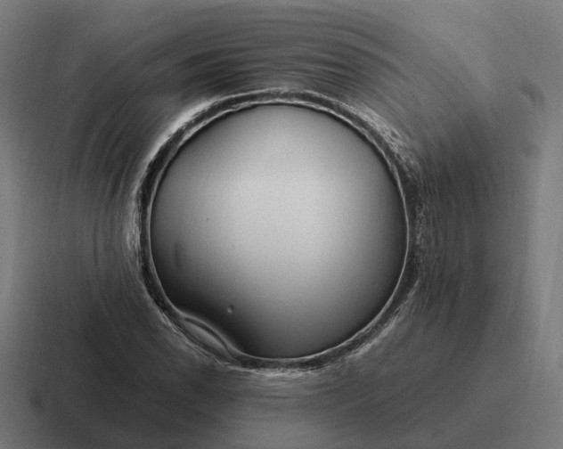 X0000116801118200912311931