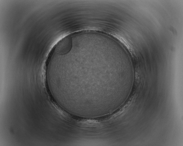 X0000116801119200912311931