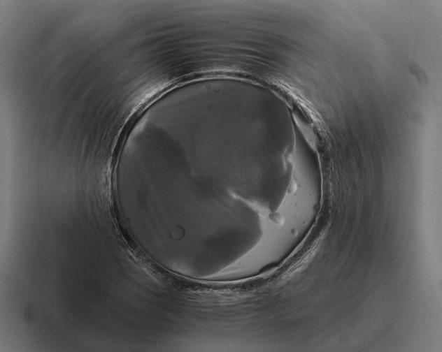 X0000116801121200912311931