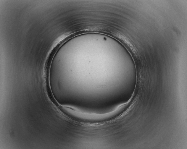 X0000116801122200912311931