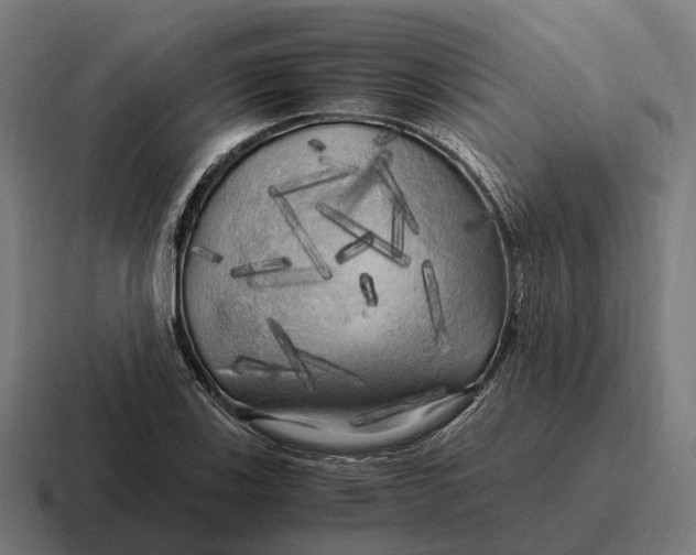 X0000116801123200912311931