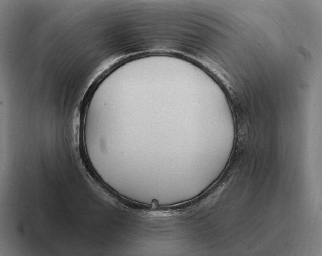 X0000116801126200912311931