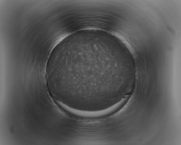 X0000116801129200912311931