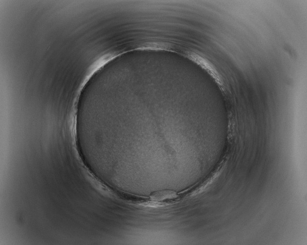 X0000116801130200912311931